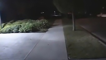 Group Orgy With Intense Fucking